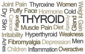 thyroid testing and replacement dallas