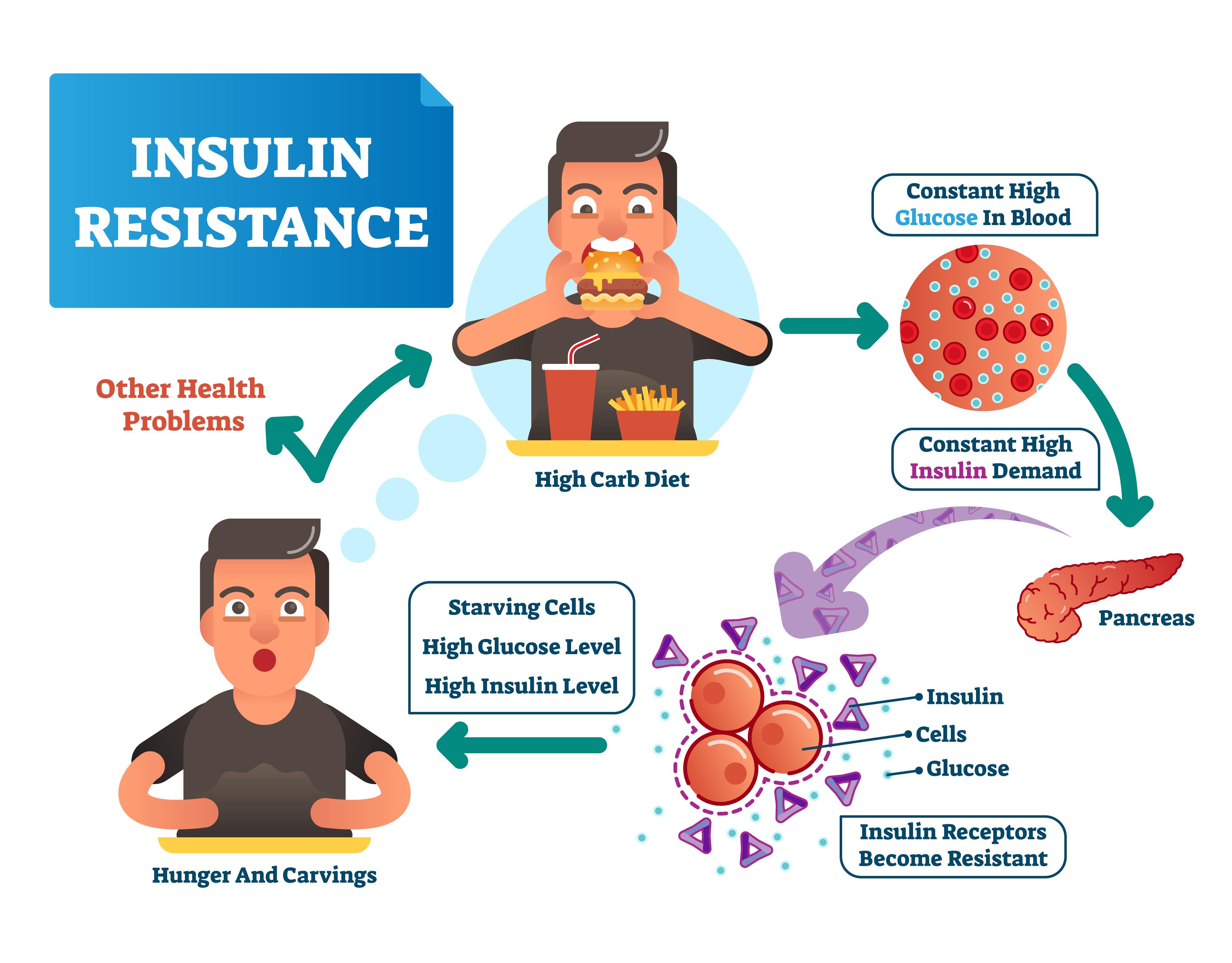 Cetosis resistencia insulina