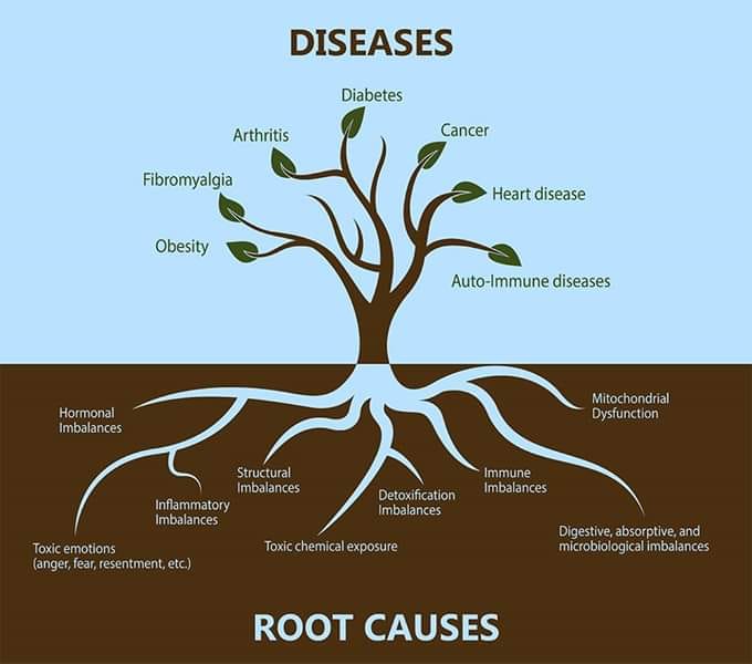 Root causes of disease graphic
