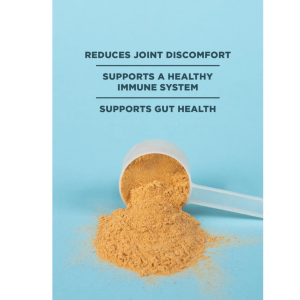 Bone Broth PROTEIN (Vanilla) - Image 4